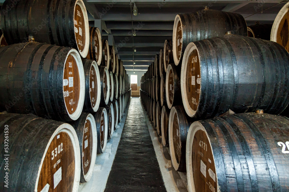 Wooden barrels at cognac factory