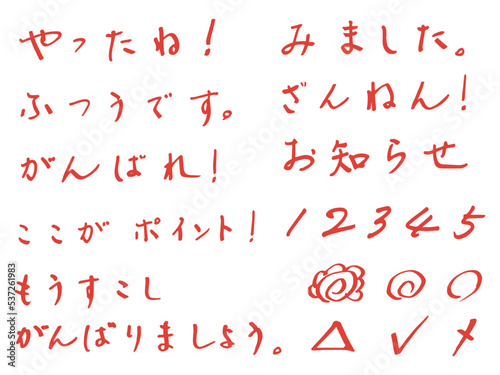 赤ペン先生のコメントと数字と花まるなど