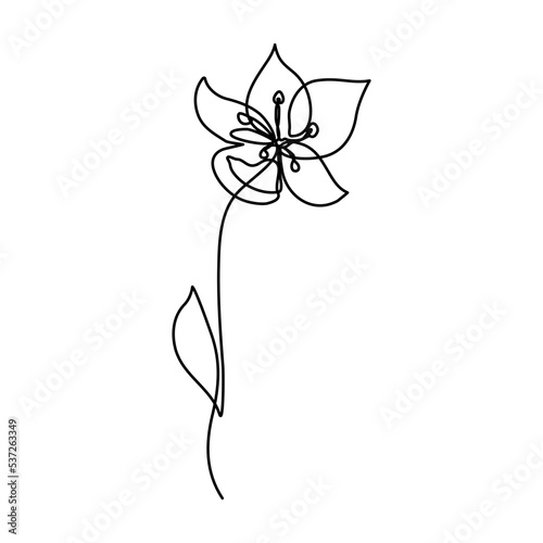 continuous line hand drawn beautiful black and white line flowers Design greeting cards and holiday invitations. raster line illustration © Nitinan
