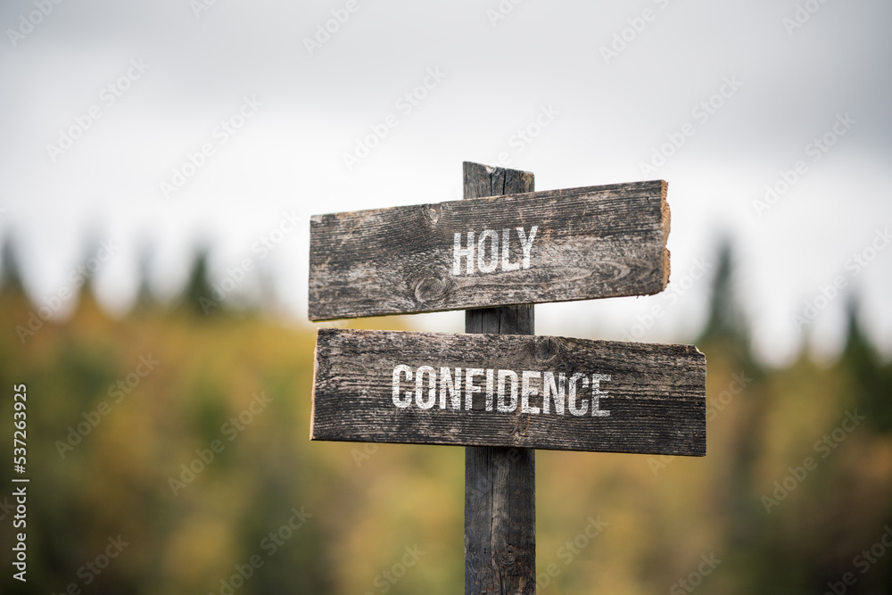 vintage and rustic wooden signpost with the weathered text quote holy confidence, outdoors in nature. blurred out forest fall colors in the background.