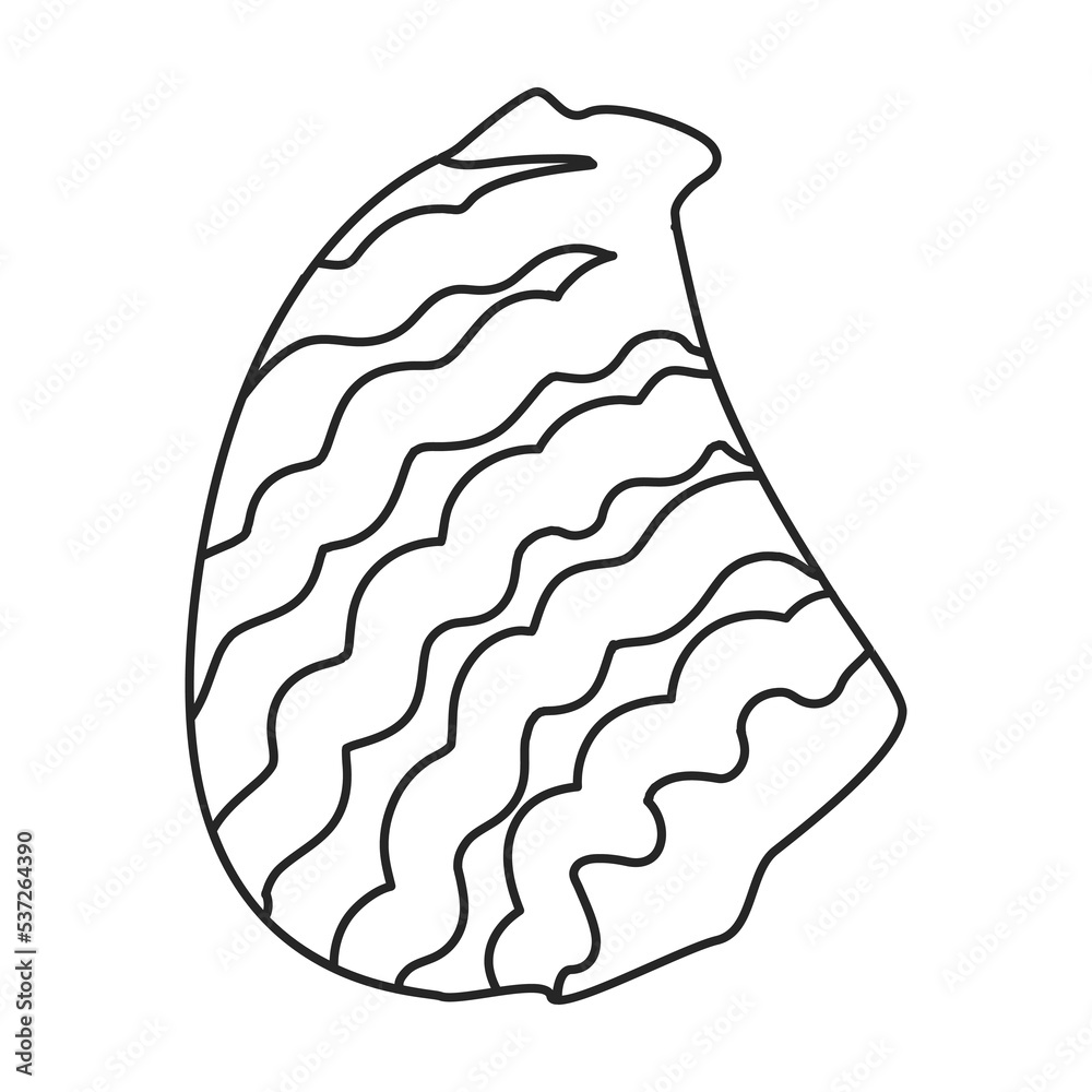 Oyster vector icon.Outline vector icon isolated on white background oyster. Oyster vector icon.Outline vector icon isolated on white background oyster.