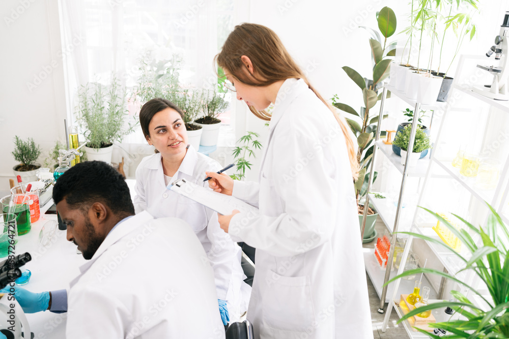 The diversity of scientists reports experimentation results to their colleagues in the research laboratory. Group of chemistry students working in the laboratory. The diversity of scientists reports experimentation results to their colleagues in the research laboratory. Group of chemistry students working in the laboratory.