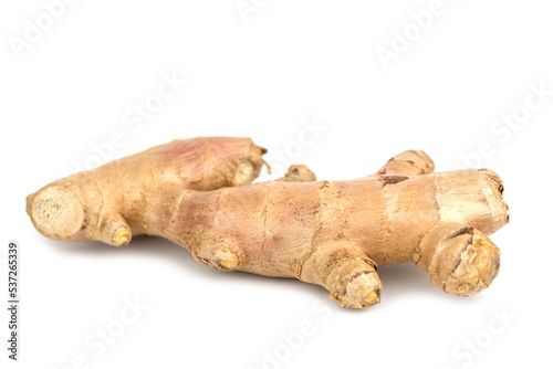 the fresh whole ginger root