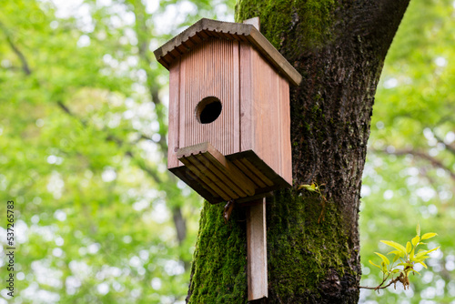 close-up Bird house on a tree. Wooden birdhouse, nesting box for songbirds in park.