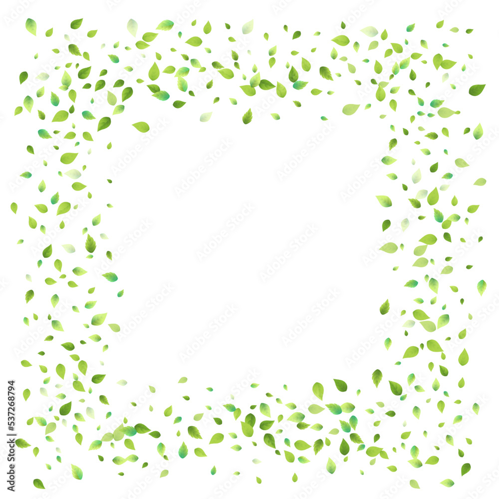 Leaves Green Falling Flying Foliage Leaf Tea Mint Leaves Green Falling Flying Foliage Leaf Tea Mint