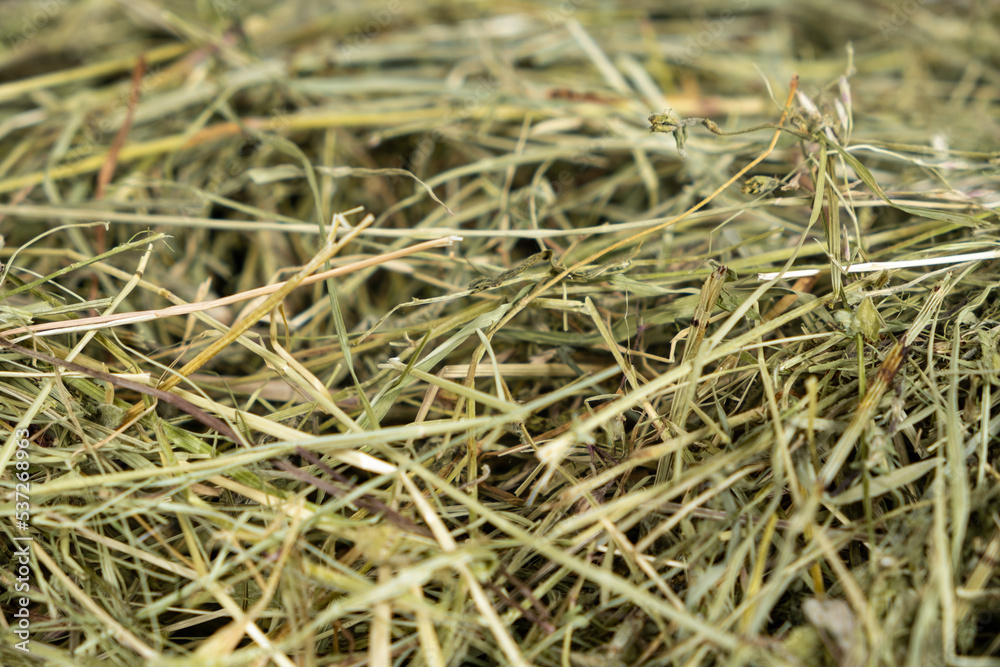 Hay from ecologically clean meadow grasses for feeding guinea pigs, hamsters and other rodents. Hay from ecologically clean meadow grasses for feeding guinea pigs, hamsters and other rodents.