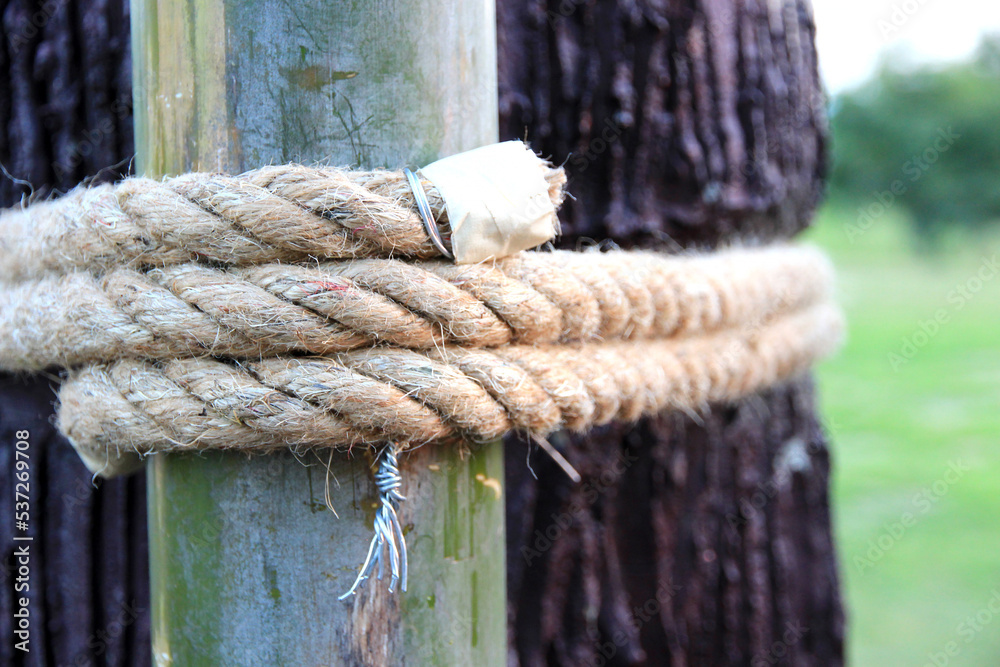 Binding a twine of hemp rope to a log to hold them together tightly.