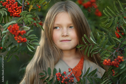 Obraz na plátne A cute little girl of five years with flowing hair near a bush with rowan