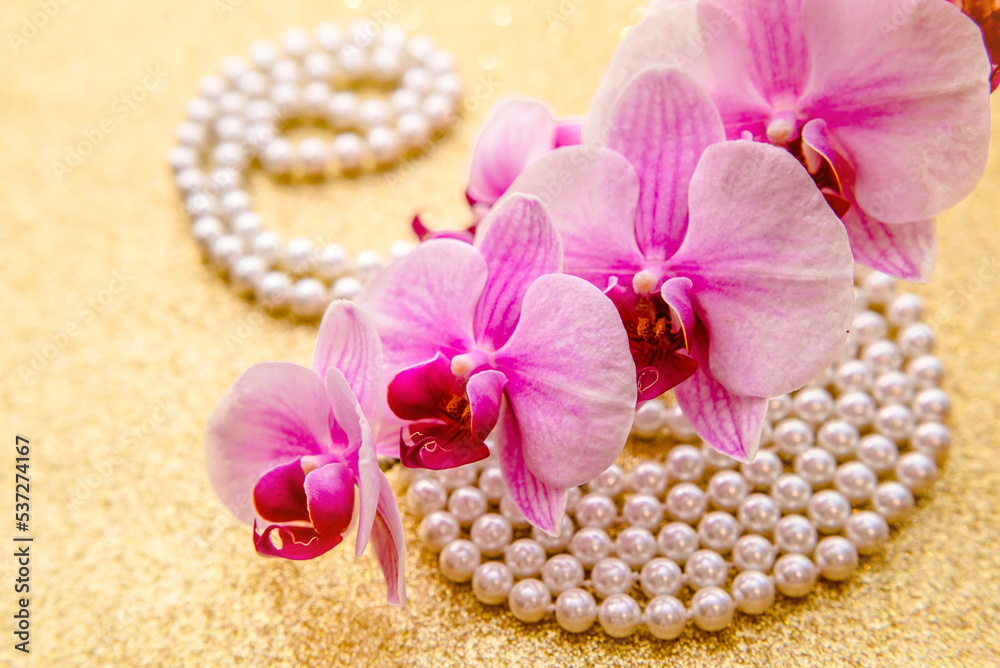 purple Orchid and pearl necklace on a shiny gold background
purple Orchid and pearl necklace on a shiny gold background