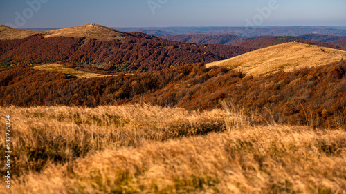 Bieszczady National Park, Poland. Colorful autumn mountain landscape.