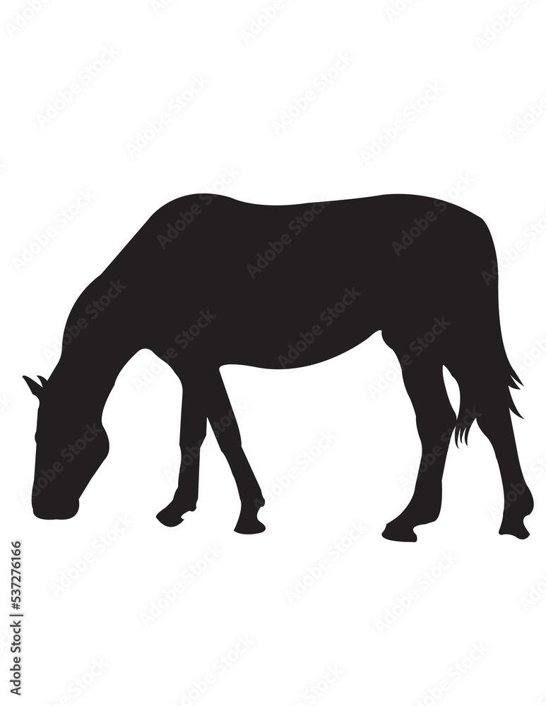 horse horse
