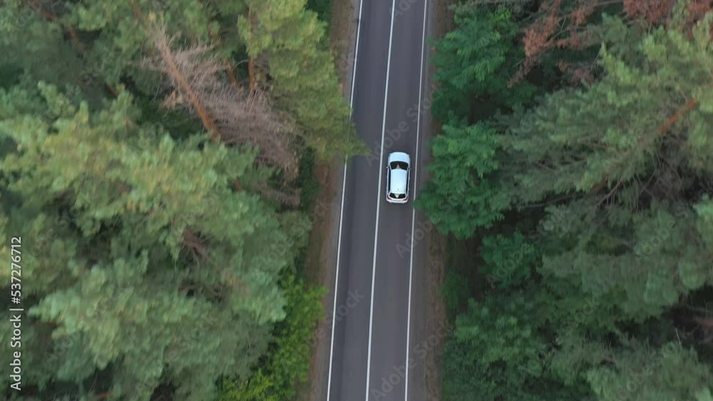 Top view of white car riding along road in green forest. Auto driving at rural route at summer day. SUV moving through scenic landscape way at beautiful season. Concept of holiday travel. Aerial shot Top view of white car riding along road in green forest. Auto driving at rural route at summer day. SUV moving through scenic landscape way at beautiful season. Concept of holiday travel. Aerial shot