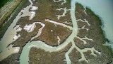 Closeup shot of river channels carved into the mud flats of the river Deben