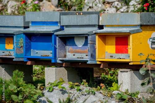 Colored wooden hives © pierluigipalazzi