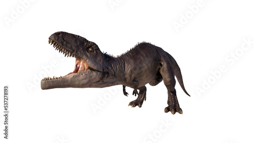 Giganotosaurus dinosaur isolated on blank background PNG