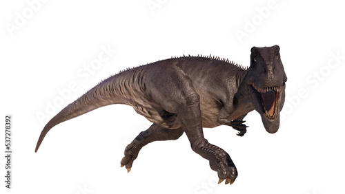 Giganotosaurus dinosaur isolated on blank background PNG © akiratrang