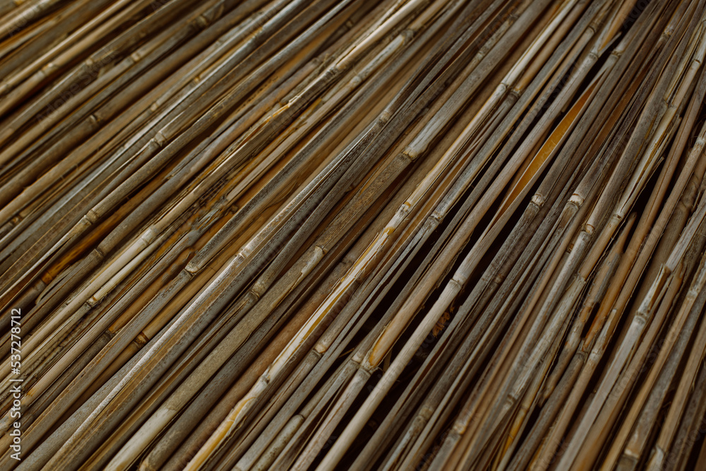 Dry reeds or bamboo texture. Natural background. Dry reeds or bamboo texture. Natural background.