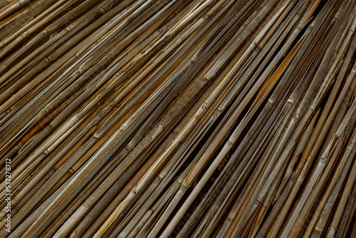 Dry reeds or bamboo texture. Natural background.