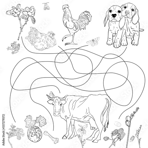 Game Labyrinth or Labyrinth. Puzzle. A confusing road. Colouring page Outline of animals realistically with . Colouring book for children. Beagle, cow, turkey, rooster like a colouring book