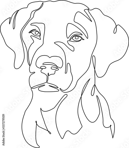 labrador continuous single line art portrait, vector illustration graphic print