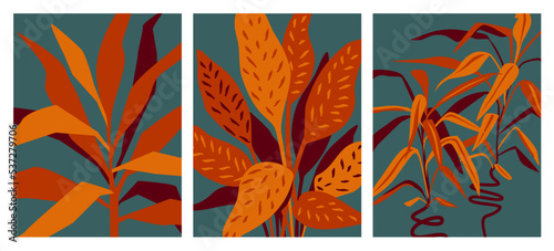abstract foliage houseplants new retro prints set, vector illustration
