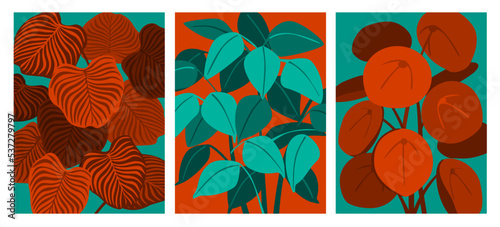 abstract foliage decorative houseplants  prints set, vector illustration