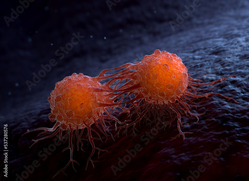 Fotografie Migrating cancer cells