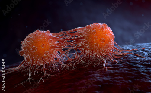 Migrating cancer cells