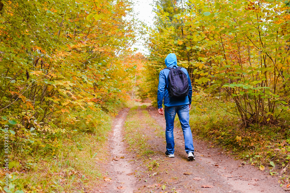 A young male hiking with a backpack.Man walks along the autumn forest path way.A healthy lifestyle in nature.Rear view. A young male hiking with a backpack.Man walks along the autumn forest path way.A healthy lifestyle in nature.Rear view.