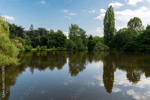 Reflection of trees and green plants in a water pond photo