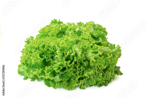 salade verte isolée sur un fond blanc en gros plan