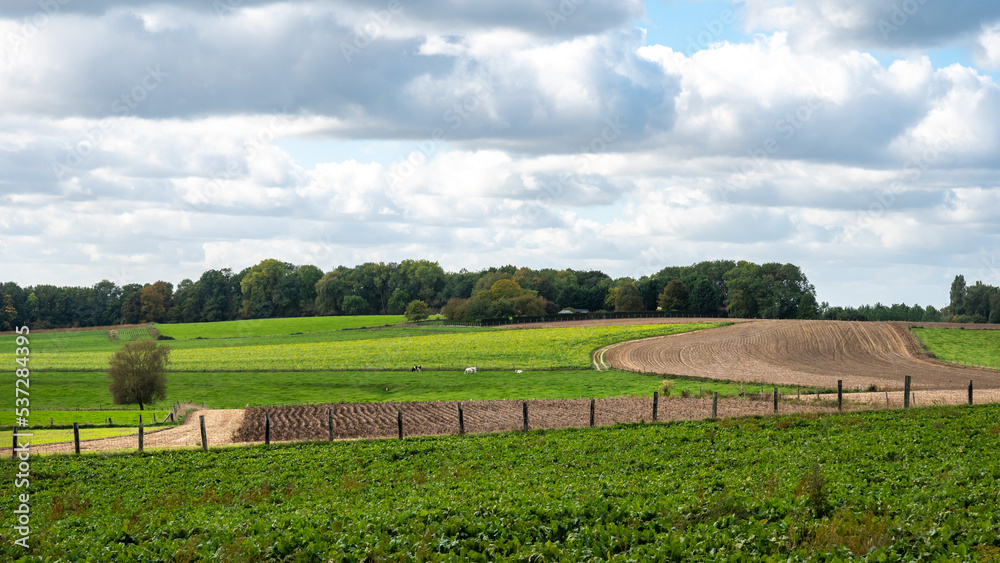 Scenic view over cropped land at the Flemish countryside around Asse