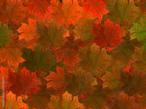 Autumn pattern with colorful leaves. 