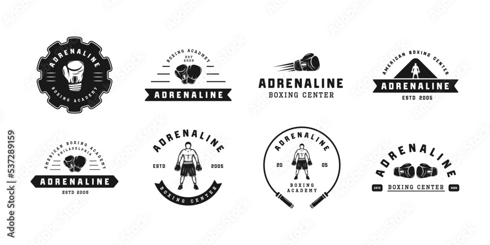 Boxing and martial arts logo badges and labels in vintage style. Motivational posters with inspirational quotes. Vector