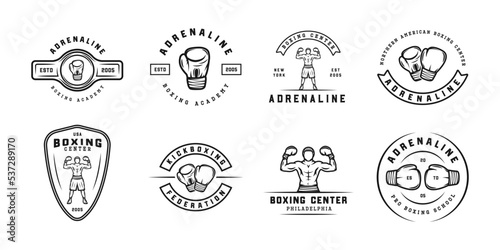 Boxing and martial arts logo badges and labels in vintage style. Motivational posters with inspirational quotes. Vector