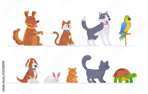 A set of different animals. Vector illustration of cats, dogs, hamster, parrot, turtle and other pets isolated on white background. Zoo. 