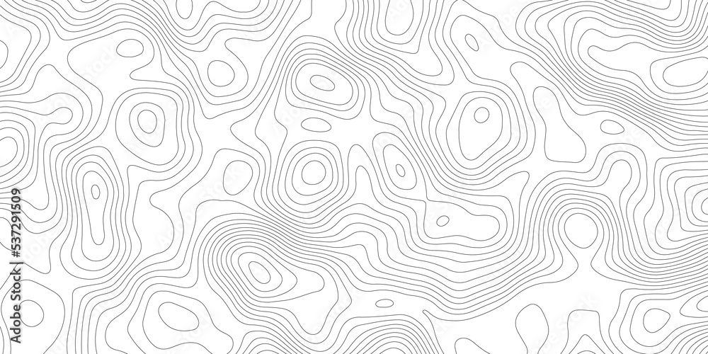 Topographic contour map. Vector cartography illustration. Topography and geography map grid abstract backdrop. Business concept. Fish Fillet Texture, Salmon fillet texture, fish pattern. paper texture