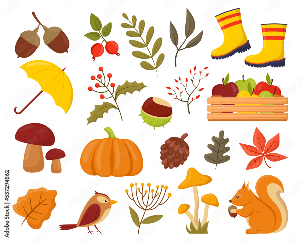 Fall Concept Autumn animals and plants vector illustrations set. Collection of ...