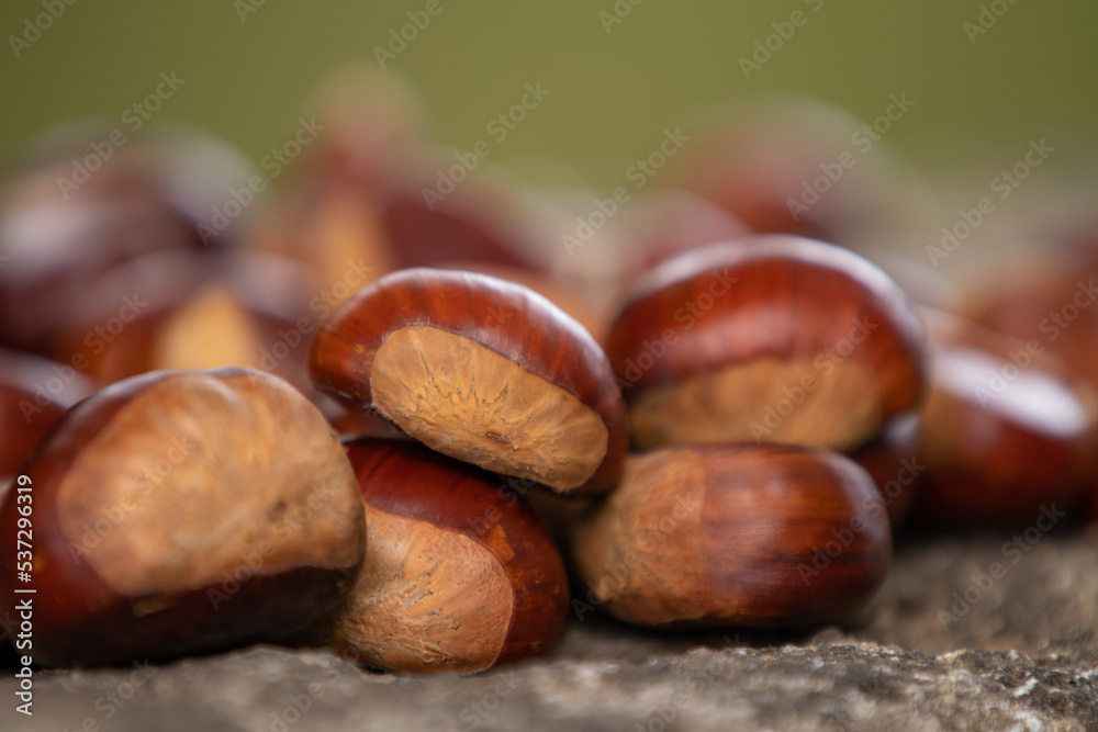 natural chestnuts stacked outdoors, autumn natural chestnuts stacked outdoors, autumn