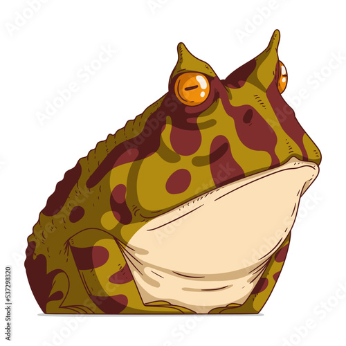 A Grumpy Frog, isolated vector illustration. Cartoon picture of a calm serious toad sitting. Drawn animal sticker. Simple drawing of a resented horned frog on white background. An upset amphibian.