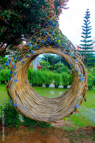 tree in the garden