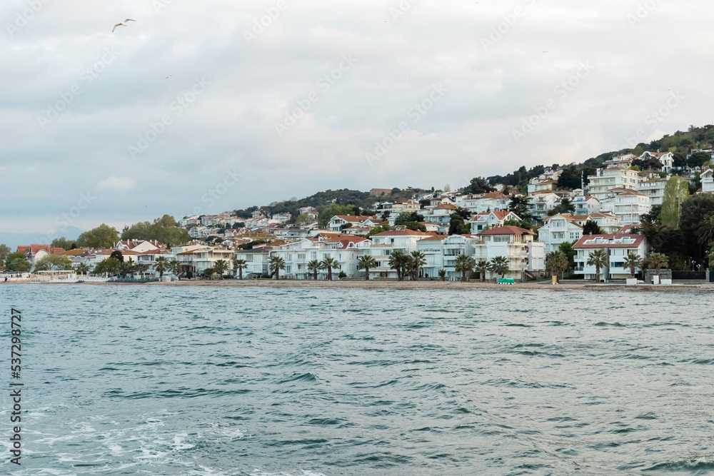 wild seagull flying over modern turkish houses and seashore on princess islands.