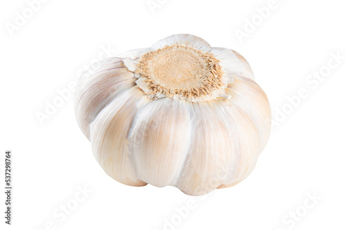 Garlic head isolated