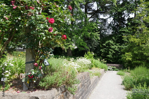 Botanischer Garten Wuppertal 