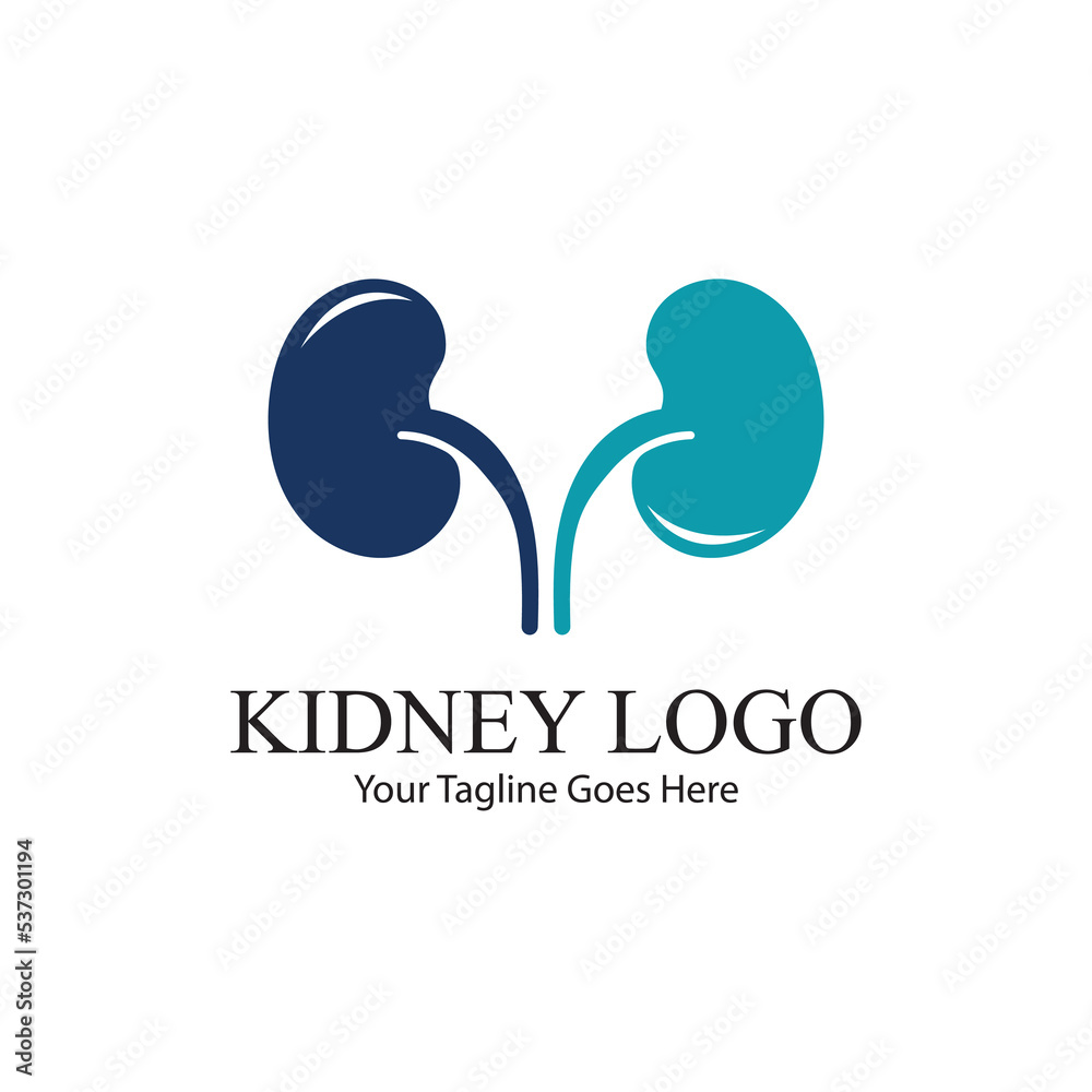 kidney vector illusrtation kidney vector illusrtation