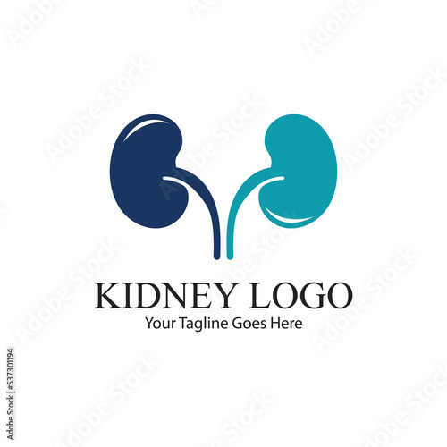 kidney vector illusrtation