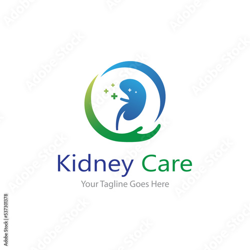 kidney vector illusrtation