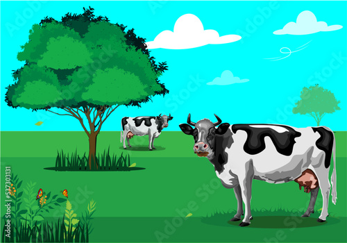 black and white cow in the meadow on a bright day