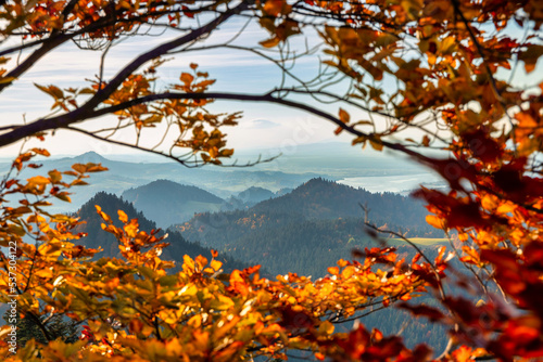 Fototapeta Naklejka Na Ścianę i Meble -  Pieniny Mountains in the frame of autumnal leaves. Poland