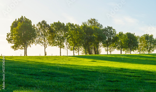 Fields and trees in a green hilly grassy landscape under a blue sky at sunrise in autumn, Voeren, Limburg, Belgium, October, 2022